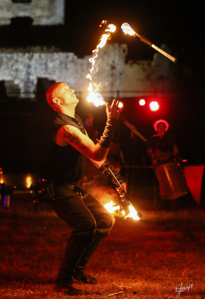 Musicien artiste de la compagnie Les Crinières d'Evol