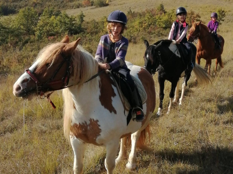 garcon et enfants sur des chevaux-compagnie crinieres-devol